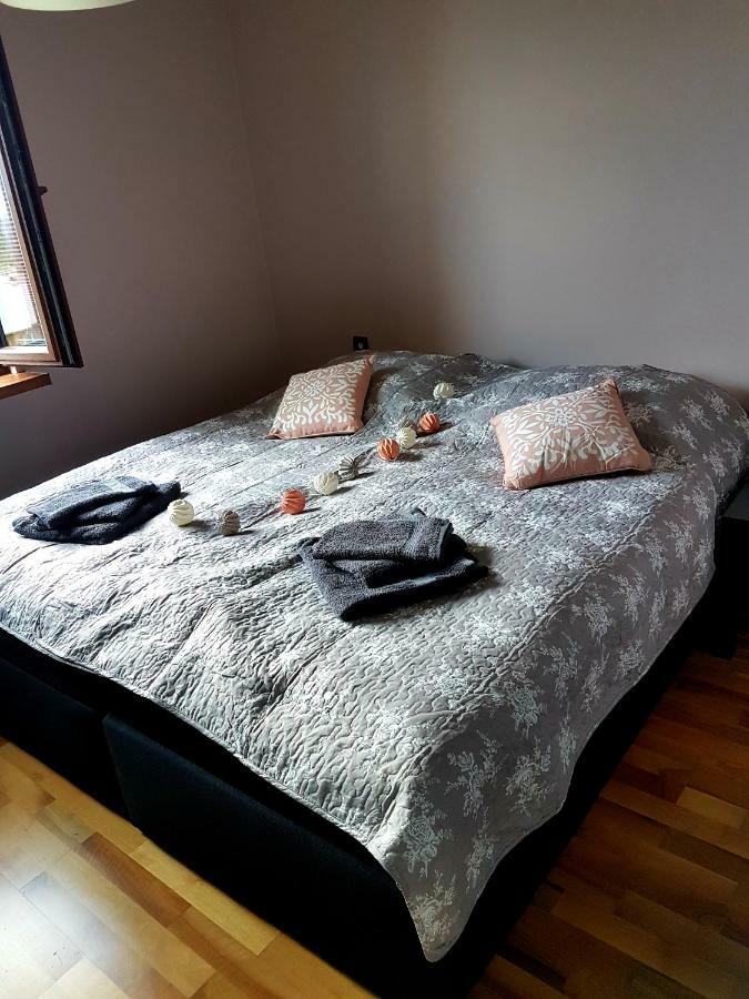 Sloneczny Apartment Kielce Luaran gambar